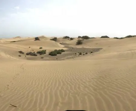 Appartement Holiday Apartment *