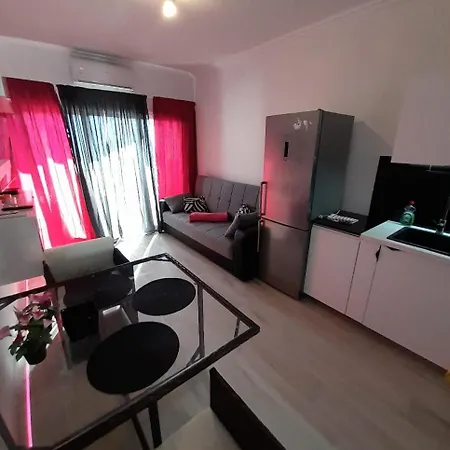 公寓 Holiday Apartment